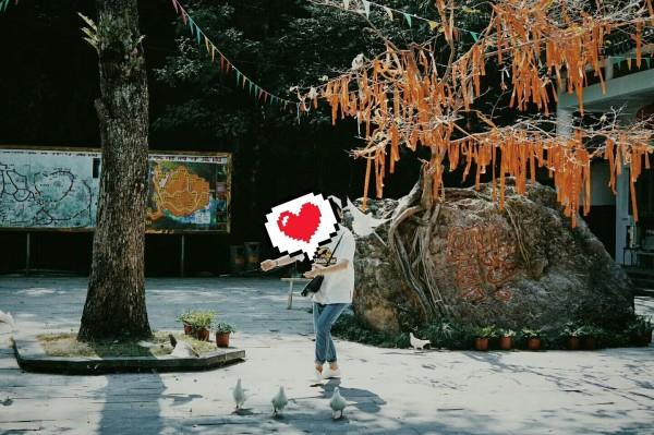 春雨直播app