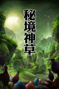细胞分裂4