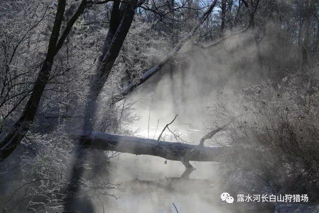 孤岛危机2