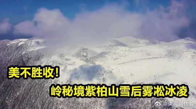 放飞笼中鸟