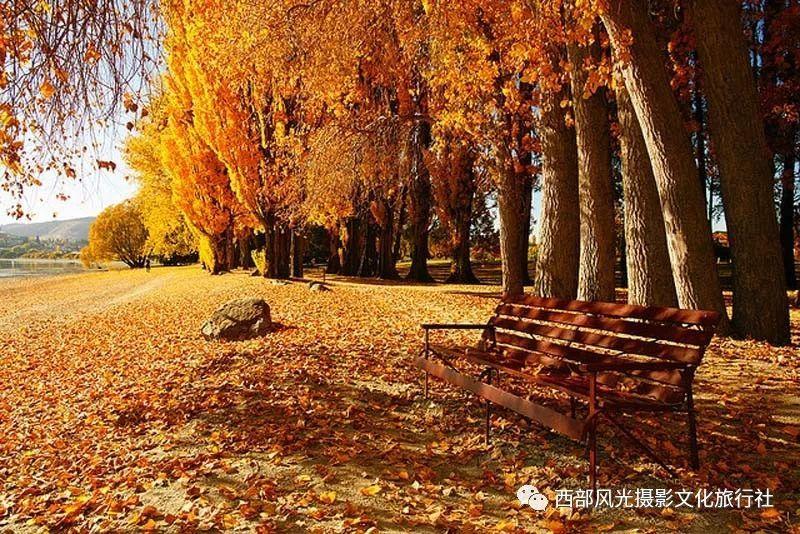 动车过海 他们“穿针引线”