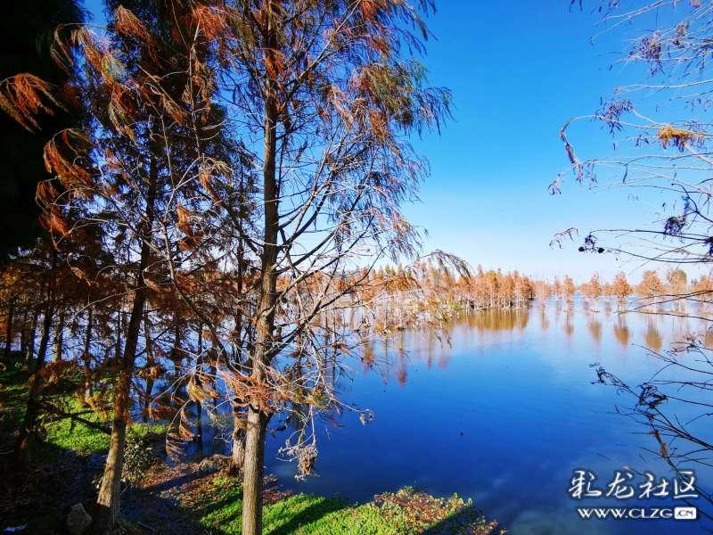 加勒比海度假村