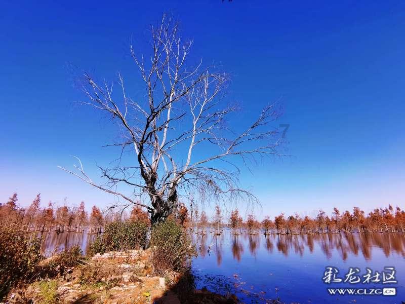 探索蜗牛世界,尽在北京日落时间表蜗牛问答平台