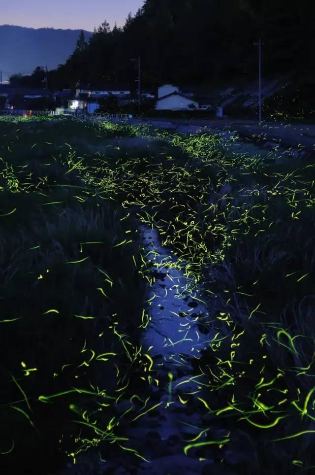 坑爹密室逃脱