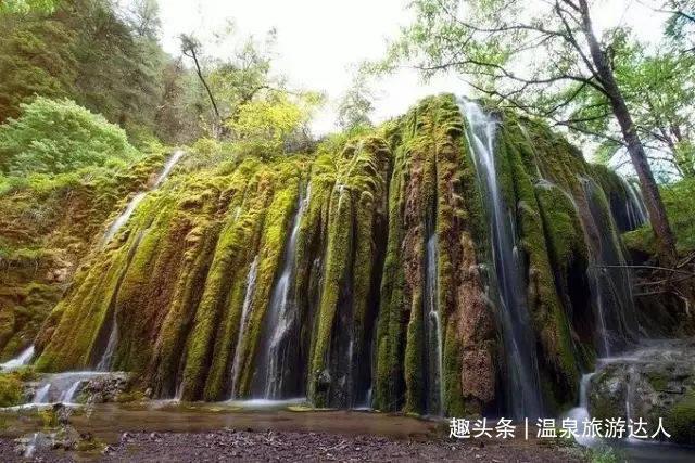 万词王