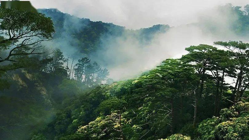 请问小区里面的装修垃圾物业要收费吗游戏画面