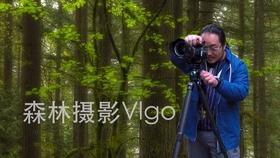 消费降级的产物:记大明永乐时代才去封国就藩的洪武系亲王们