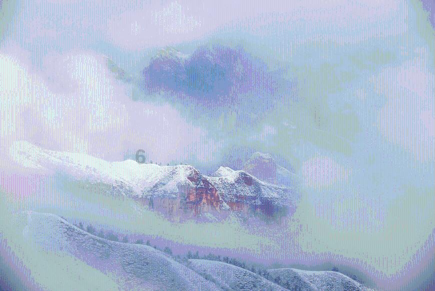 动物帮帮忙保卫家园