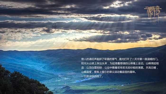 春雨直播app