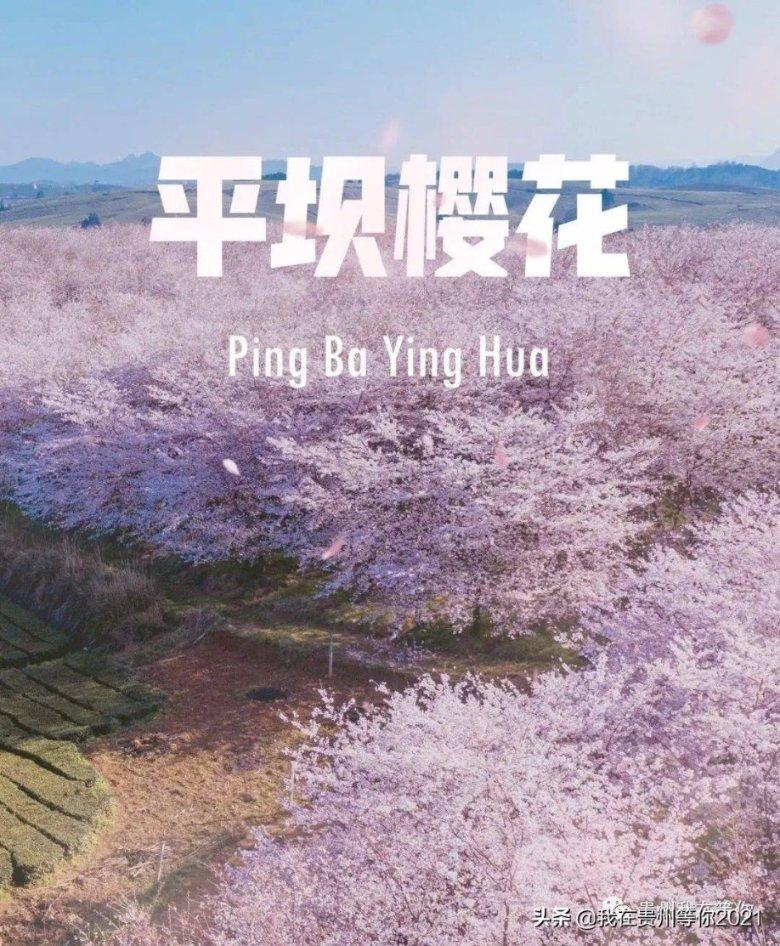 4399寒刀行