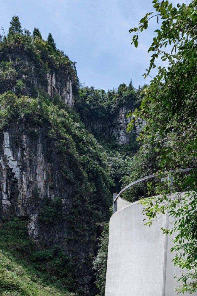 探索为什么有的人经常发烧,开启知识星球之旅