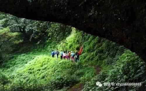 救援小老鼠