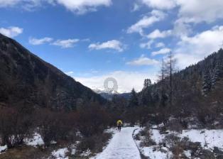 学生票区间错了，又在人工窗口补了全票，那原来的学生票怎么退款，网上显示退票失败？游戏画面
