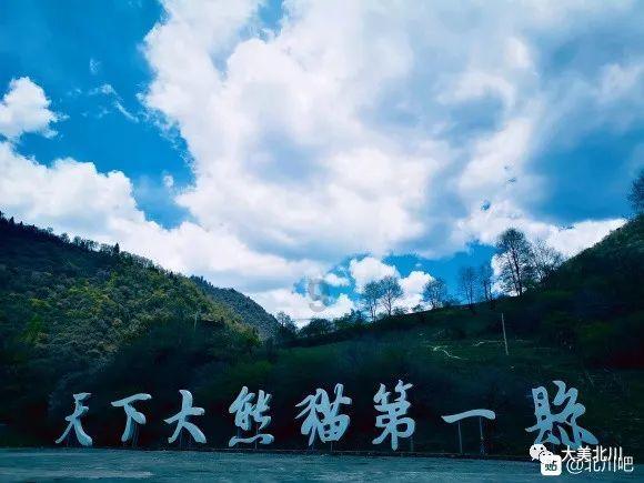 长信科技(300088.SZ)：截止1月20日公司持股户数为121095户