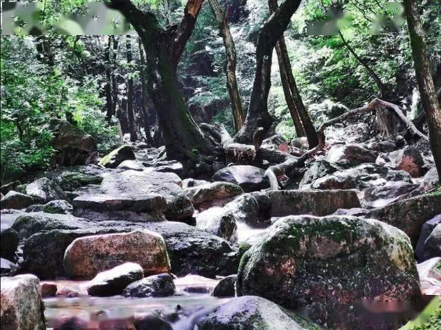 夏之许诺