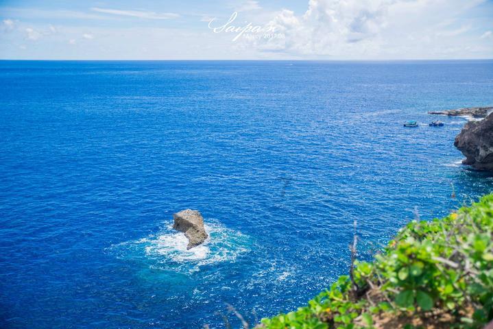 栀子落星海