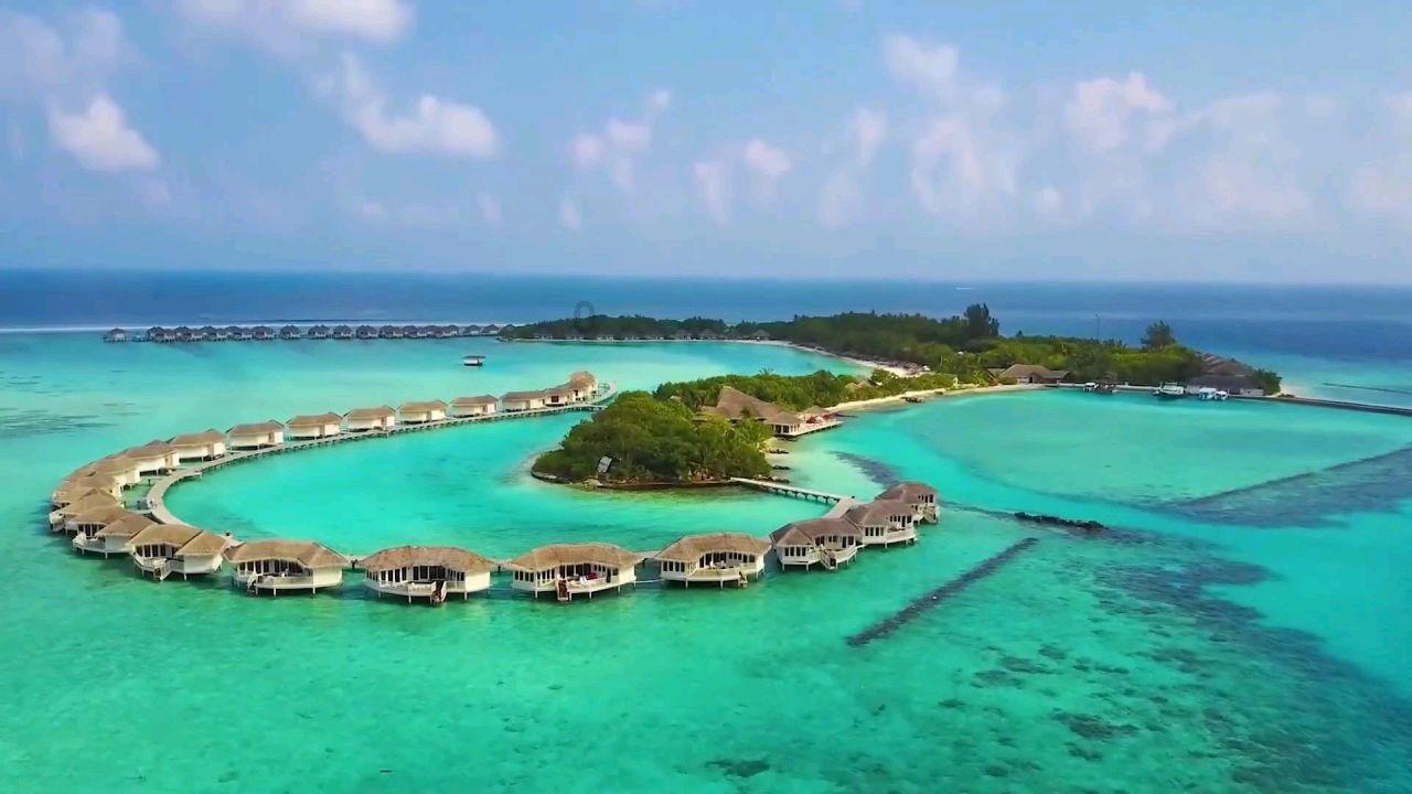 掘地挖宝