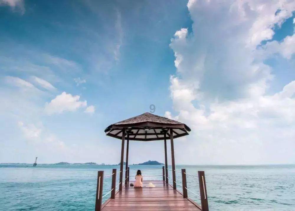 春雨直播app
