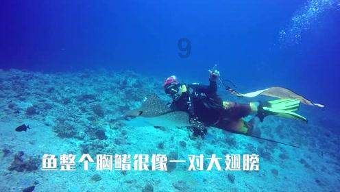 逃离电梯间