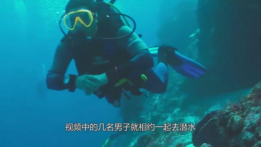 虫虫助手下载