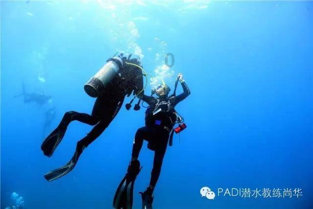缤纷水果茶