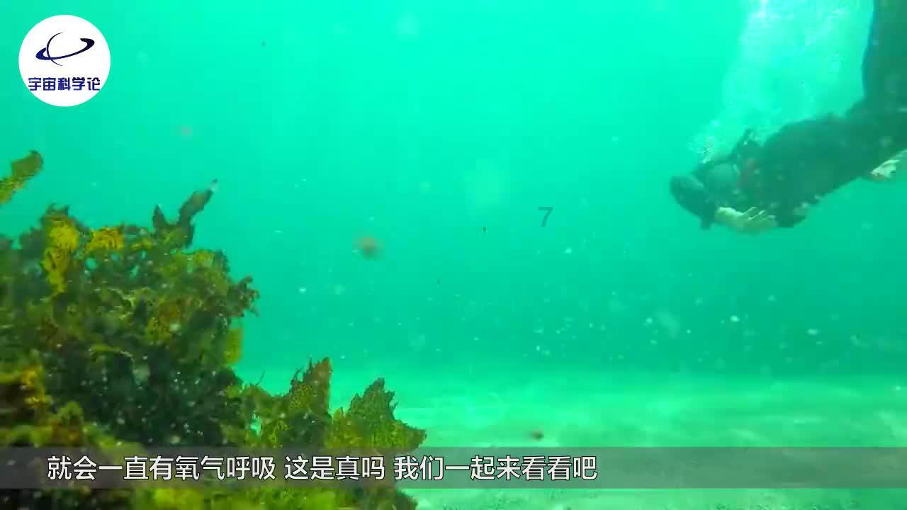 幻想纹章3.1