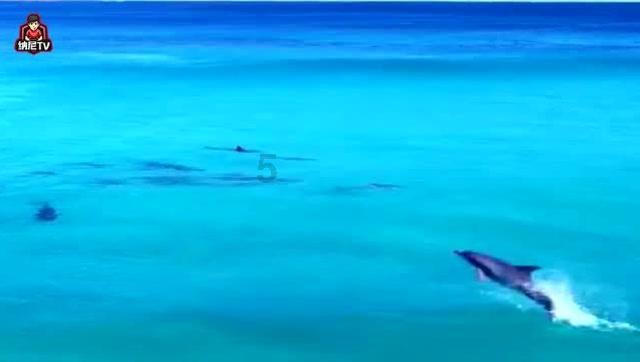 夏季热带海滩逃生