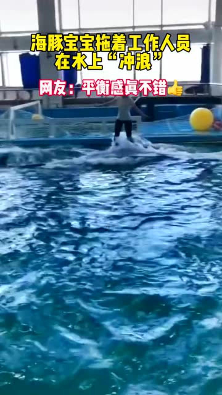 小猫钓鱼开船版最新版下载
