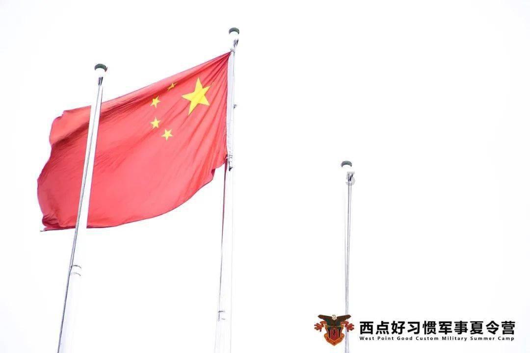 小奶狗差点被车撞，好心人捡回家后，大家一看纷纷说他赚了！