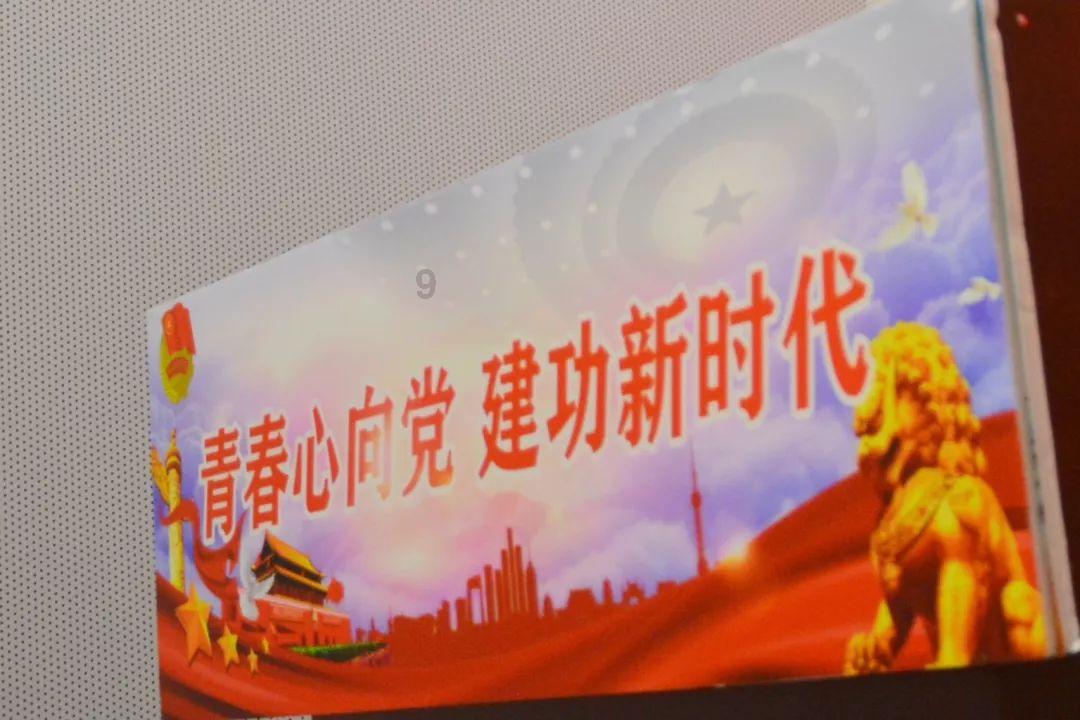 蓝狐视频