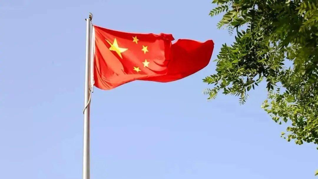 拯救小萌虎