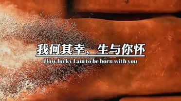 比萨挑战赛