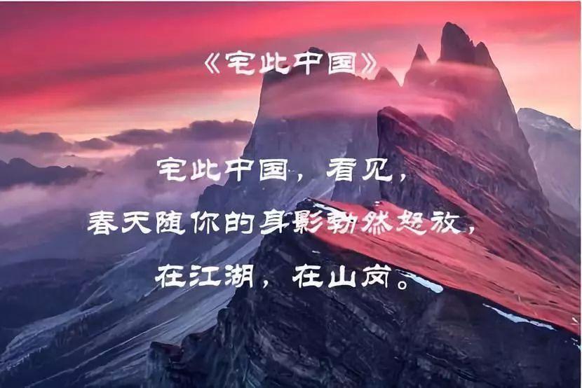 动物帮帮忙保卫家园