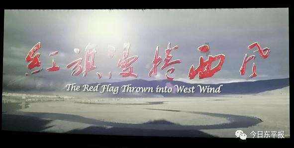 大白猫逃脱