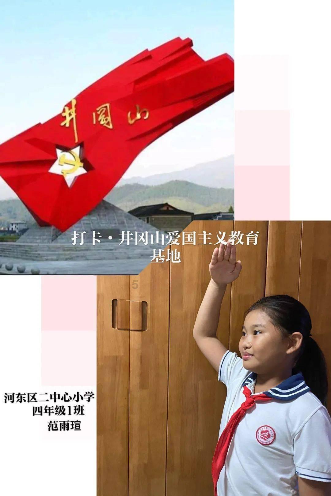 狗得了细小。我想给它止吐，用胃复安，可以吗？