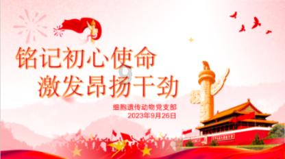 超外星兄妹4