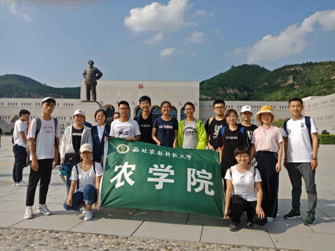 老妇人营救