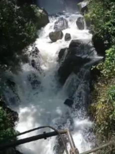 小猫钓鱼游戏龙王版有船