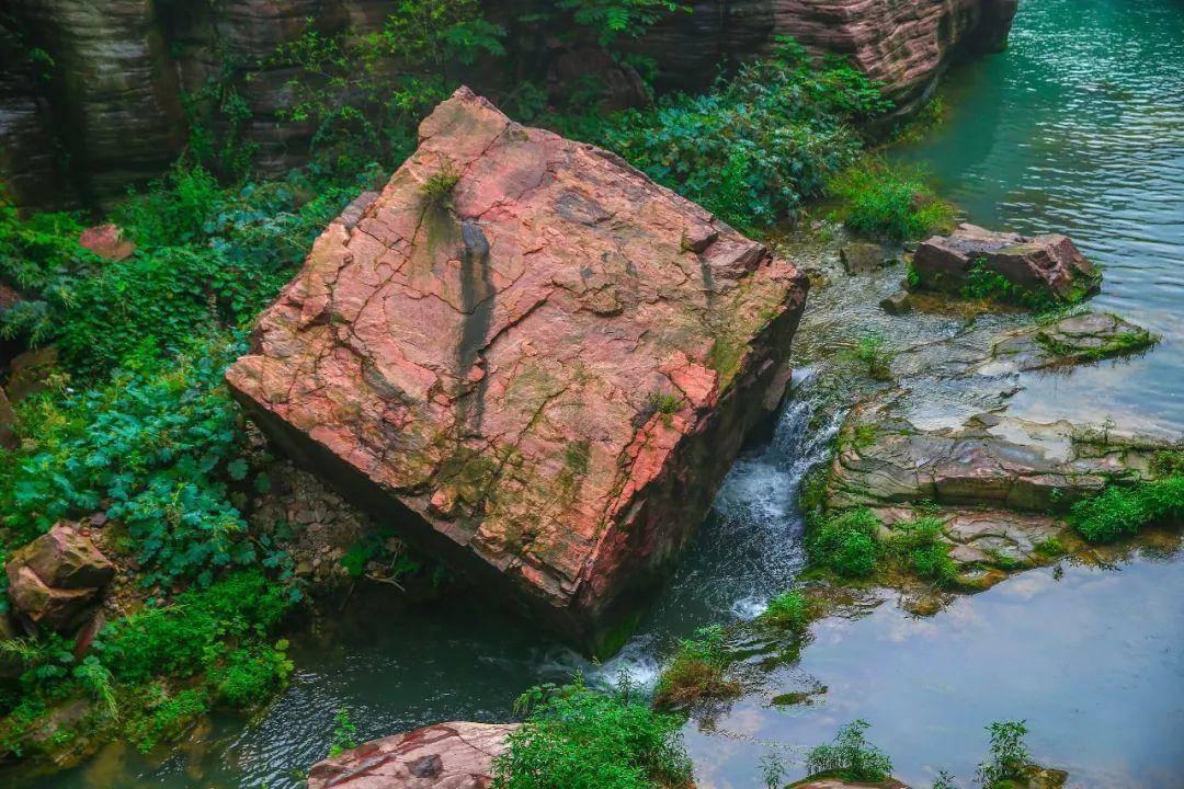割绳子吃寿司