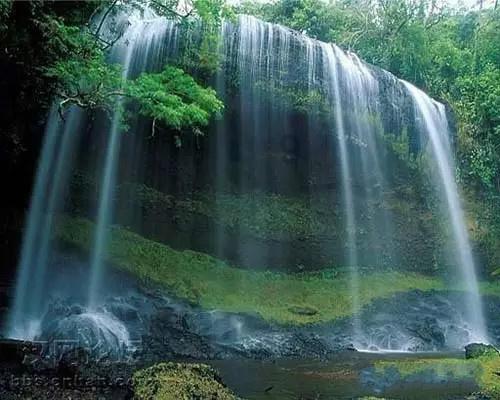 烟雨江湖太乙丹药攻略