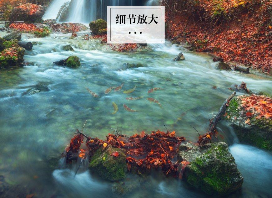为什么说要远离垃圾人？游戏画面