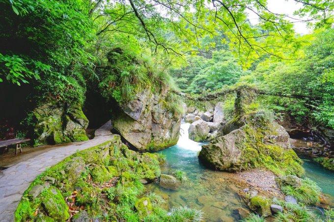 打造医药康养文旅产业名片