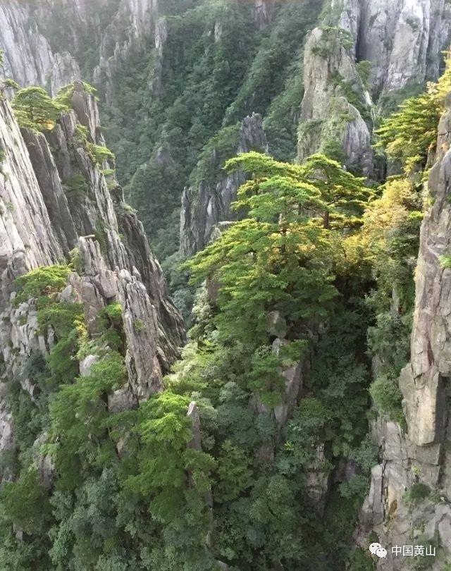 警告、罚款1万！福州长乐区一蔬菜摊销售不合格生姜受处罚