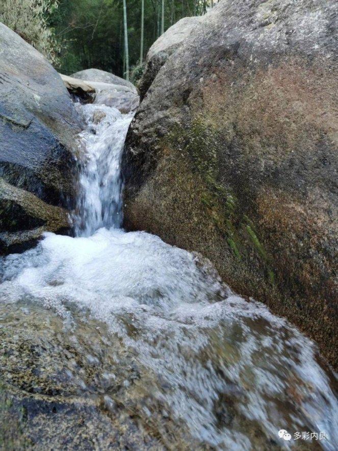 淘气兔救援