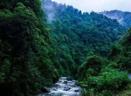 大爷卖“天价面”，60元一碗，每天限量50碗，食客：价格太低了！