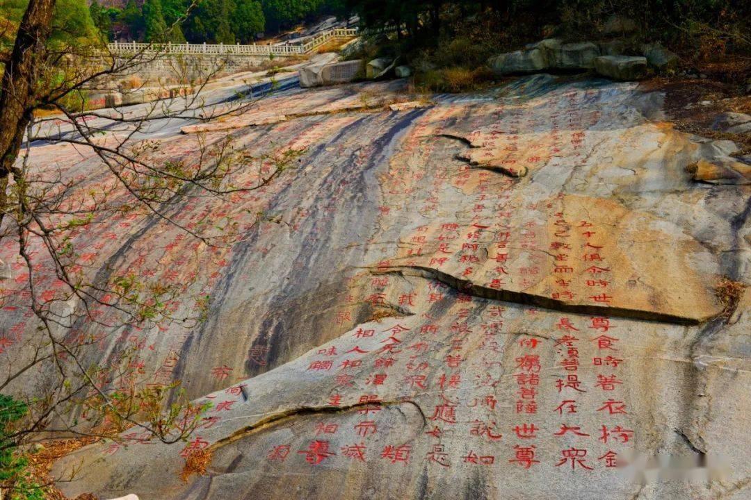 因为当地有政策让把掉缴的社保补齐，补缴3年，一年后转入外地，外地医保要法律文书，当时没给开，怎么办？游戏画面
