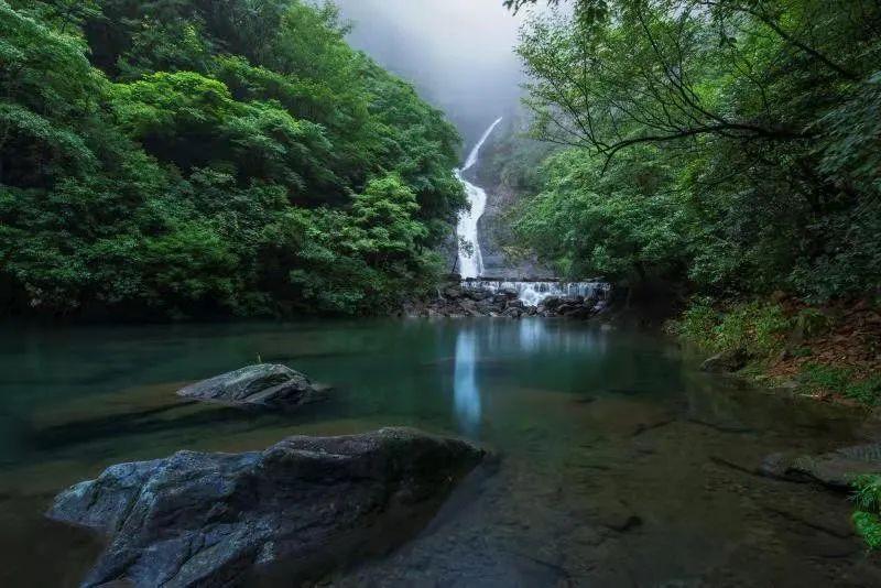 虫虫助手下载