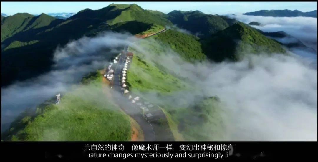 小猫钓鱼正版下载中文版