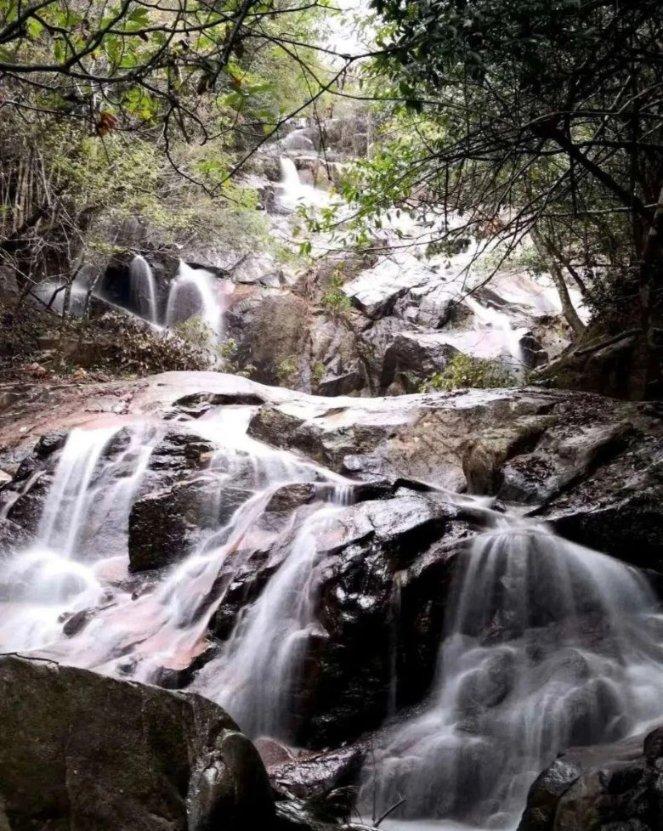 李湘开通二手平台，毛巾卖1560元引争议，被质疑后发文称全场10元