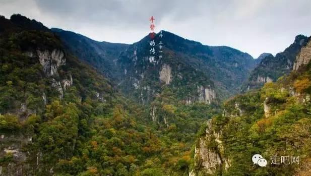 长时间没有排出的“粪便”去了什么地方？或许一直被误解了！